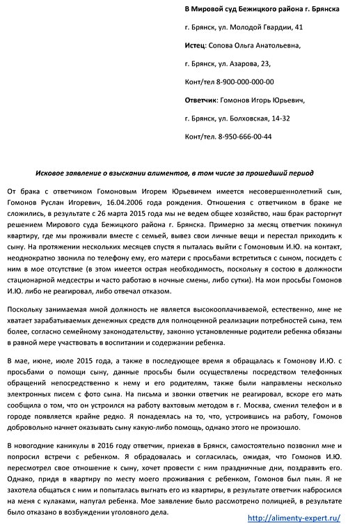 Изображение - Как можно взыскать алименты за прошедший период iskovoe-zayavlenie-o-vzyskanii-alimentov-za-proshedshij-period